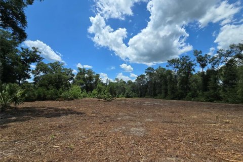 Terreno en venta en Hernando, Florida № 1805510 - foto 9