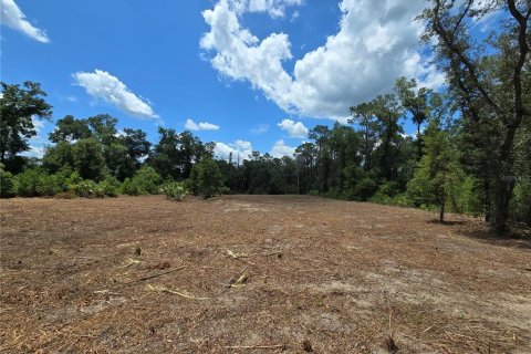 Terreno en venta en Hernando, Florida № 1805510 - foto 8