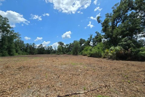 Terreno en venta en Hernando, Florida № 1805510 - foto 3