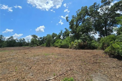 Terreno en venta en Hernando, Florida № 1805510 - foto 4