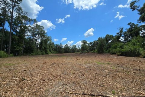 Terreno en venta en Hernando, Florida № 1805510 - foto 6
