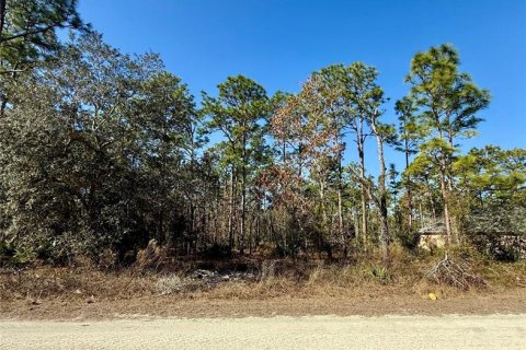 Land in Weeki Wachee, Florida № 2161277