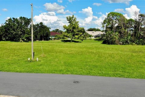 Land in Punta Gorda, Florida № 2115914 - photo 13