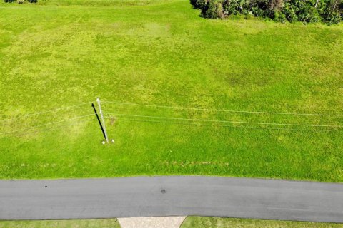 Land in Punta Gorda, Florida № 2115914 - photo 10