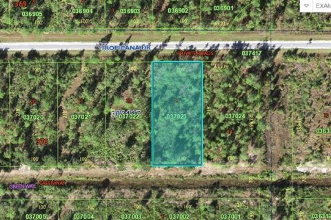 Terreno en Indian lake estates, Florida № 2162215