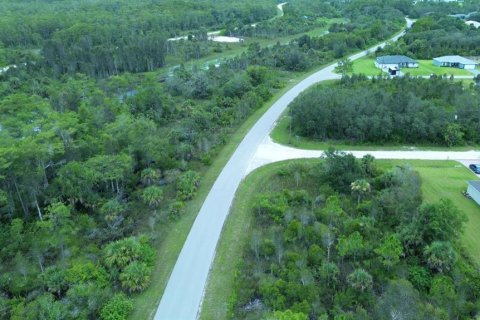 Terrain à vendre à Lehigh Acres, Floride № 2165153 - photo 4