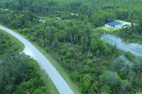 Terrain à vendre à Lehigh Acres, Floride № 2165153 - photo 5