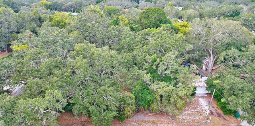 Land in Clearwater, Florida № 933499