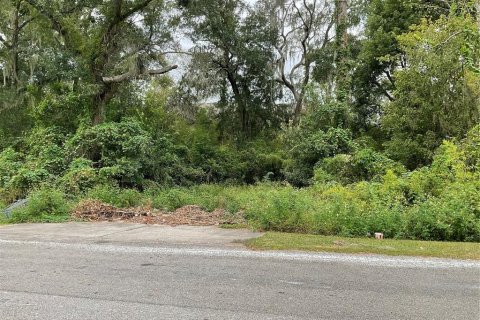 Terreno en venta en Gainesville, Florida № 750819 - foto 1