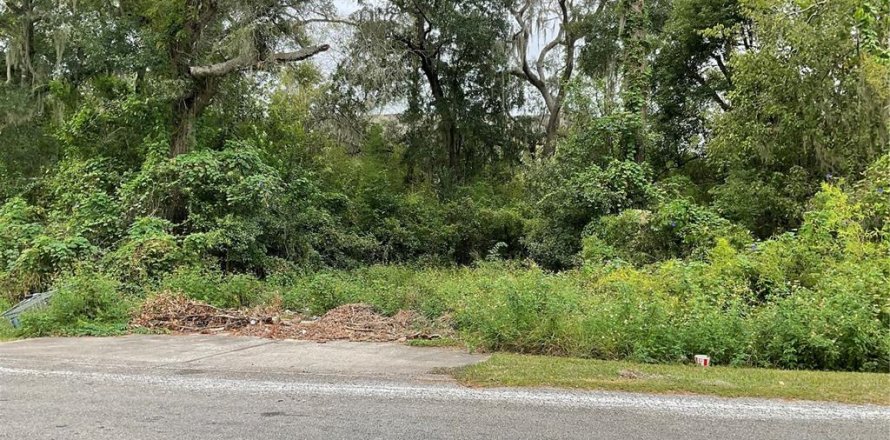Terreno en Gainesville, Florida № 750819