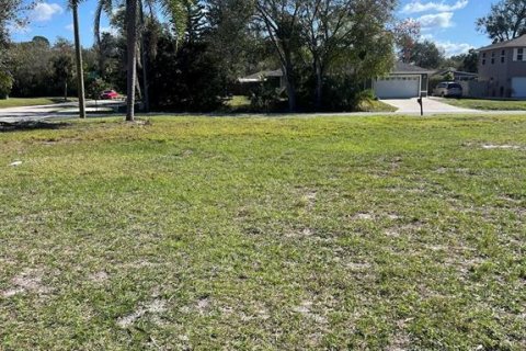 Land in Sarasota, Florida № 983078 - photo 3