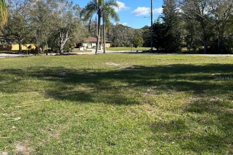 Land in Sarasota, Florida № 983078 - photo 7