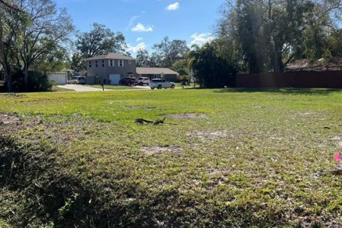 Land in Sarasota, Florida № 983078 - photo 4