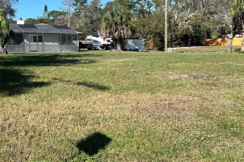 Land in Sarasota, Florida № 983078 - photo 2