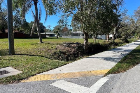 Land in Sarasota, Florida № 983078 - photo 6