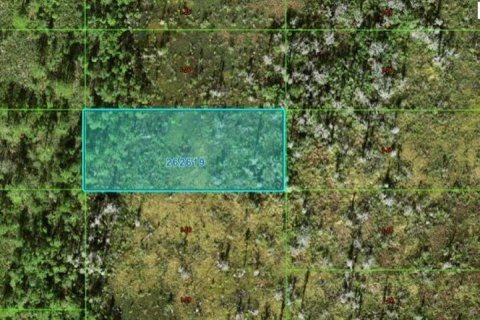 Terreno en Polk City, Florida № 2164019