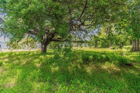 Land in Tampa, Florida № 232900 - photo 7