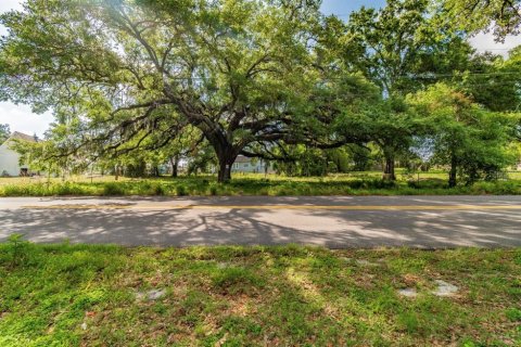 Land in Tampa, Florida № 232900 - photo 4