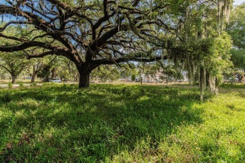 Land in Tampa, Florida № 232900 - photo 6