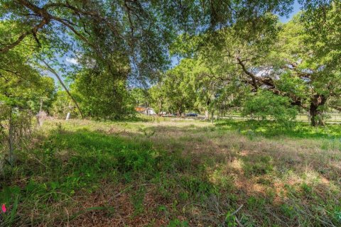 Land in Tampa, Florida № 232900 - photo 11