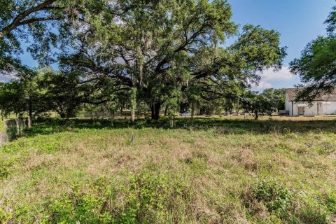 Land in Tampa, Florida № 232900 - photo 8