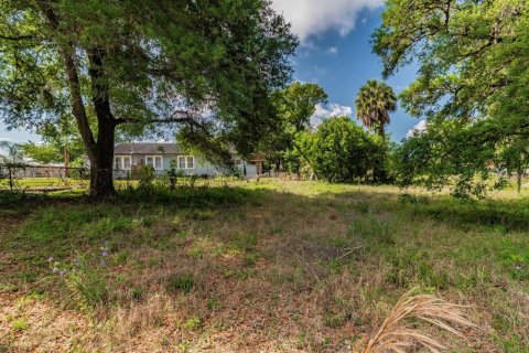 Land in Tampa, Florida № 232900 - photo 10