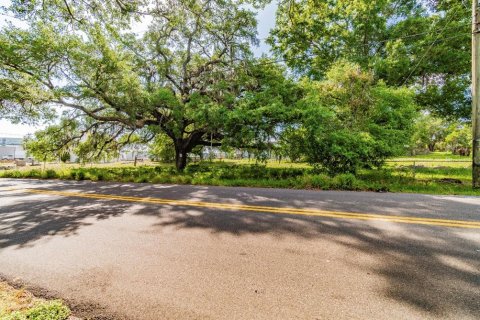 Land in Tampa, Florida № 232900 - photo 3