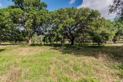 Land in Tampa, Florida № 232900 - photo 9