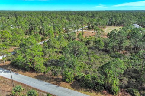 Land in Lehigh Acres, Florida № 2158126 - photo 4