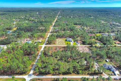 Land in Lehigh Acres, Florida № 2158126 - photo 12