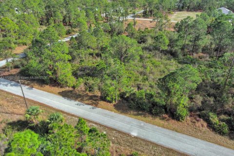 Land in Lehigh Acres, Florida № 2158126 - photo 5