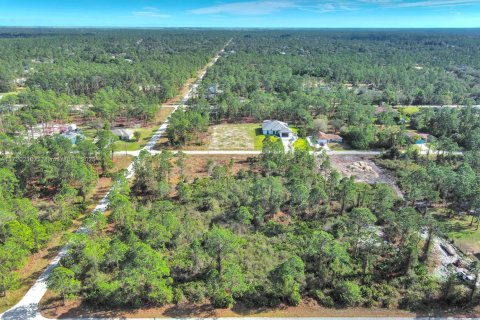 Land in Lehigh Acres, Florida № 2158126 - photo 10