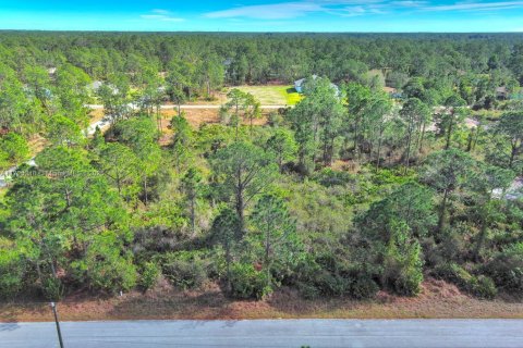 Land in Lehigh Acres, Florida № 2158126 - photo 7