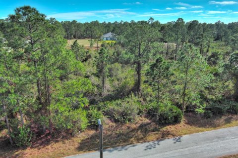 Land in Lehigh Acres, Florida № 2158126 - photo 3