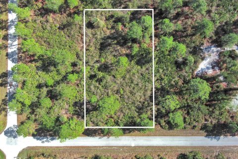 Land in Lehigh Acres, Florida № 2158126 - photo 2