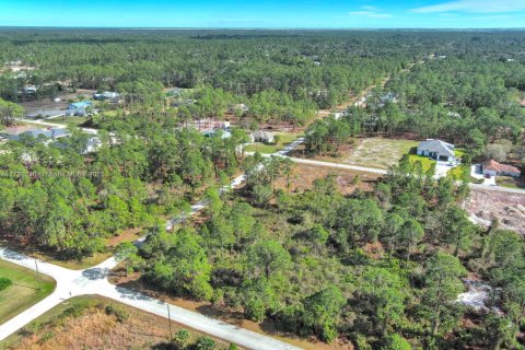 Land in Lehigh Acres, Florida № 2158126 - photo 11