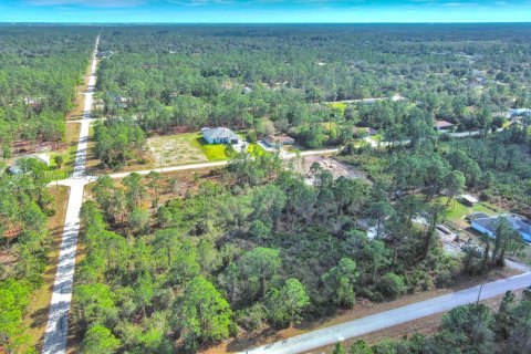 Land in Lehigh Acres, Florida № 2158126 - photo 8