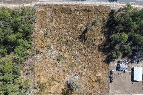 Terreno en venta en Ocala, Florida № 1513671 - foto 3