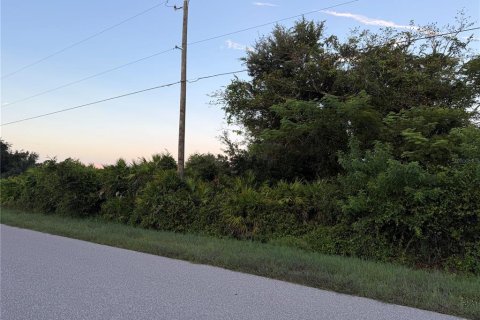Terrain à Punta Gorda, Floride № 2366932