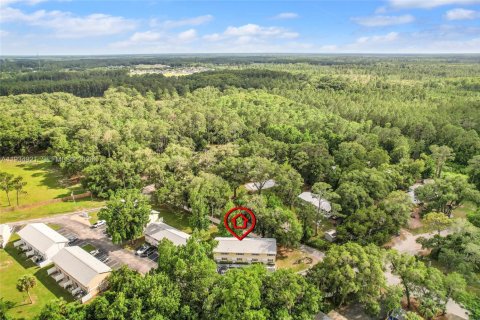 Commercial property in Saint Augustine, Florida № 2035752 - photo 21