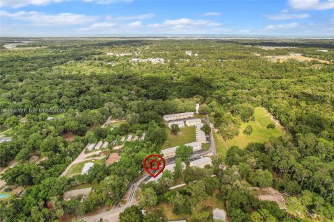 Commercial property in Saint Augustine, Florida № 2035752 - photo 24