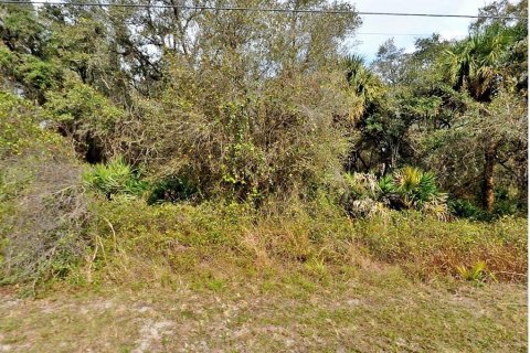 Land in North Port, Florida № 2160795