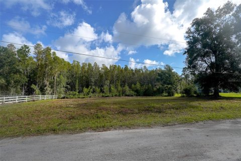 Land in Wesley Chapel, Florida № 1858007 - photo 2