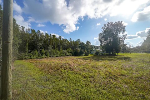 Land in Wesley Chapel, Florida № 1858007 - photo 5