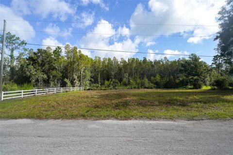 Land in Wesley Chapel, Florida № 1858007 - photo 1