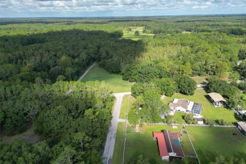 Land in Wesley Chapel, Florida № 1858007 - photo 8