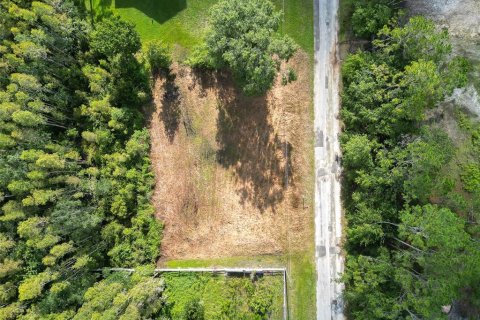 Land in Wesley Chapel, Florida № 1858007 - photo 11