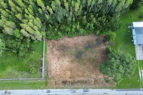 Land in Wesley Chapel, Florida № 1858007 - photo 4