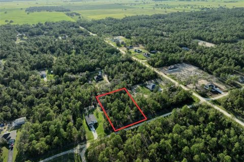 Land in Dunnellon, Florida № 1918078 - photo 1