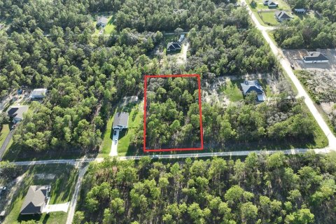 Land in Dunnellon, Florida № 1918078 - photo 2
